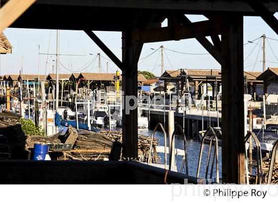 PORT OSTREICOLE D'  ANDERNOS-LES-BAINS, BASSIN D' ARCACHON, GIRONDE. (33F32610.jpg)