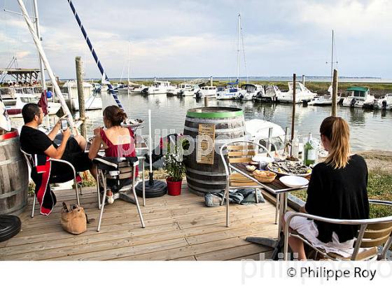 DEGUSTATION D' HUITRES , PORT OSTREICOLE D'  ANDERNOS-LES-BAINS, BASSIN D' ARCACHON, GIRONDE. (33F32616.jpg)