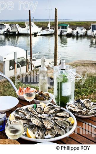 DEGUSTATION D' HUITRES , PORT OSTREICOLE D'  ANDERNOS-LES-BAINS, BASSIN D' ARCACHON, GIRONDE. (33F32619.jpg)