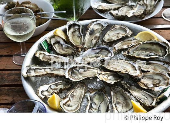 DEGUSTATION D' HUITRES , PORT OSTREICOLE D'  ANDERNOS-LES-BAINS, BASSIN D' ARCACHON, GIRONDE. (33F32627.jpg)