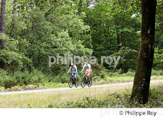 CYCLISTES, PISTE CYCLABLE DU CHEMIN DU LITTORAL, ANDERNOS-LES-BAINS, BASSIN ARCACHON. (33F32632.jpg)