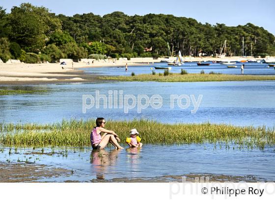 LA PLAGE D' ARES , BASSIN D' ARCACHON, GIRONDE. (33F32705.jpg)