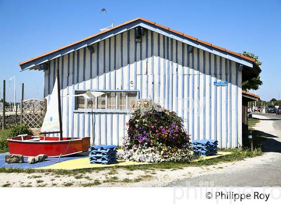 CABANE  D' OSTREICULTEUR, PORT OSTREICOLE   DE AUDENGE,  BASSIN D' ARCACHON, GIRONDE. (33F32812.jpg)