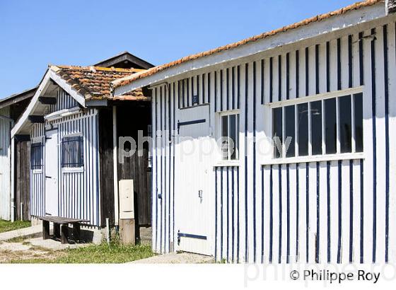 CABANE  D' OSTREICULTEUR, PORT OSTREICOLE   DE AUDENGE,  BASSIN D' ARCACHON, GIRONDE. (33F32820.jpg)
