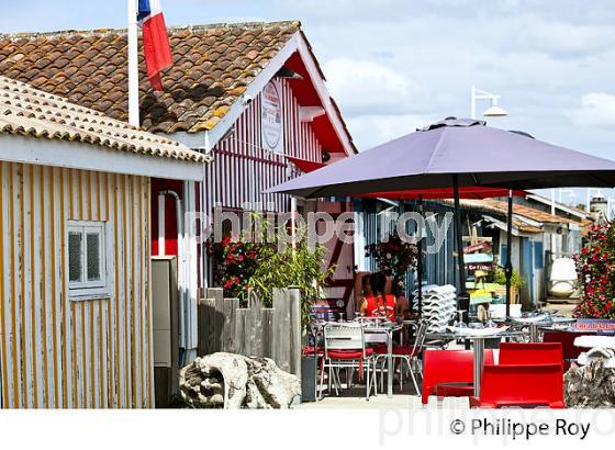 CABANE  D' OSTREICULTEUR, PORT OSTREICOLE   DE AUDENGE,  BASSIN D' ARCACHON, GIRONDE. (33F32827.jpg)