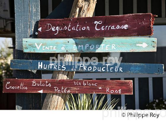 DEGUSTATION D' HUITREDS, CABANE  D' OSTREICULTEUR, PORT DE AUDENGE,  BASSIN D' ARCACHON, GIRONDE. (33F32829.jpg)