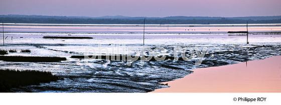 COUCHER DE SOLEIL, MAREE BASSE, PORT DE AUDENGE,  BASSIN D' ARCACHON, GIRONDE. (33F32835.jpg)