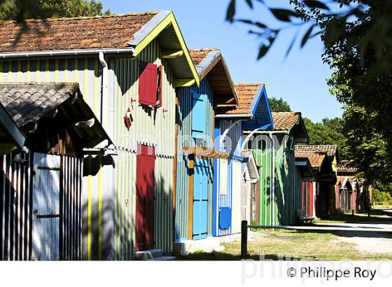CABANE DE PECHEUR, PORT  DE PECHE DE BIGANOS, DELTA DE LA LEYRE,  BASSIN D' ARCACHON, GIRONDE. (33F32839.jpg)