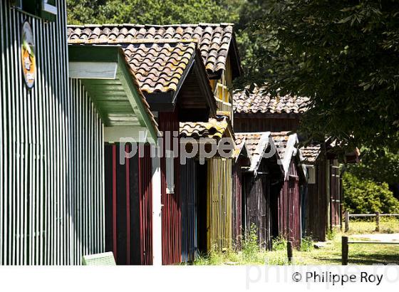 CABANE DE PECHEUR, PORT  DE PECHE DE BIGANOS, DELTA DE LA LEYRE,  BASSIN D' ARCACHON, GIRONDE. (33F32905.jpg)
