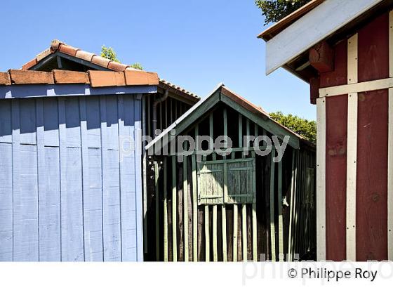 CABANE DE PECHEUR, PORT  DE PECHE DE BIGANOS, DELTA DE LA LEYRE,  BASSIN D' ARCACHON, GIRONDE. (33F32907.jpg)