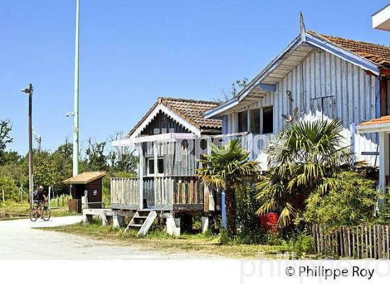 CABANE DE PECHEUR, PORT  DE PECHE DE BIGANOS, DELTA DE LA LEYRE,  BASSIN D' ARCACHON, GIRONDE. (33F32908.jpg)