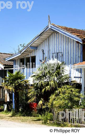 CABANE DE PECHEUR, PORT  DE PECHE DE BIGANOS, DELTA DE LA LEYRE,  BASSIN D' ARCACHON, GIRONDE. (33F32914.jpg)
