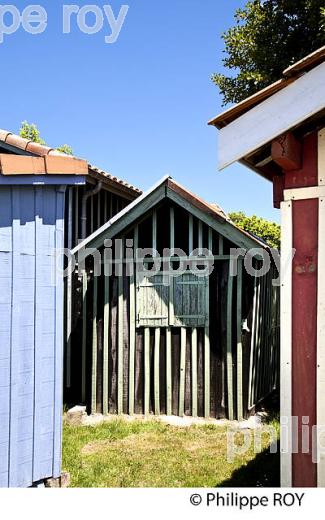 CABANE DE PECHEUR, PORT  DE PECHE DE BIGANOS, DELTA DE LA LEYRE,  BASSIN D' ARCACHON, GIRONDE. (33F32915.jpg)