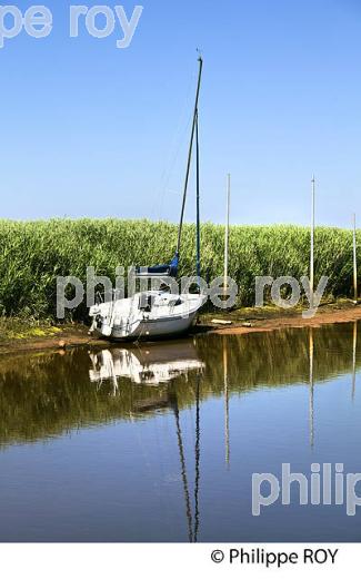 PORT DES TUILES,  BIGANOS, DELTA DE LA LEYRE, BASSIN D' ARCACHON, GIRONDE. (33F32919.jpg)