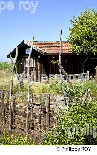 CABANE DE PECHEUR , PORT DES TUILES,  BIGANOS, DELTA DE LA LEYRE, BASSIN D' ARCACHON, GIRONDE. (33F32921.jpg)