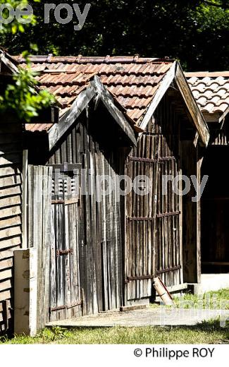 CABANE DE PECHEUR , PORT DES TUILES,  BIGANOS, DELTA DE LA LEYRE, BASSIN D' ARCACHON, GIRONDE. (33F32923.jpg)