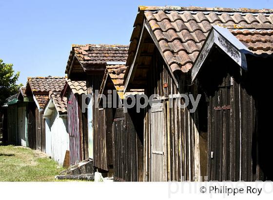 CABANE DE PECHEUR , PORT DES TUILES,  BIGANOS, DELTA DE LA LEYRE, BASSIN D' ARCACHON, GIRONDE. (33F32927.jpg)