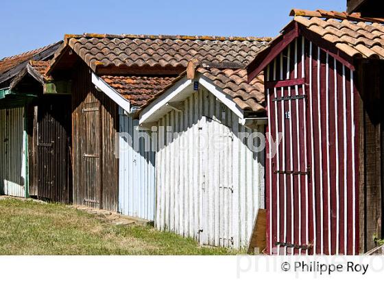 CABANE DE PECHEUR , PORT DES TUILES,  BIGANOS, DELTA DE LA LEYRE, BASSIN D' ARCACHON, GIRONDE. (33F32929.jpg)