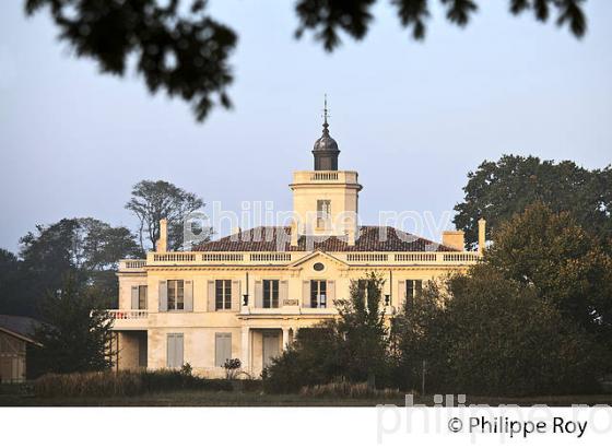 CHATEAU DE CERTES, RESERVE NATURELLE DU DOMAINE DE CERTES ET GRAVEYRON, AUDENGE , BASSIN D' ARCACHON, GIRONDE. (33F32933.jpg)