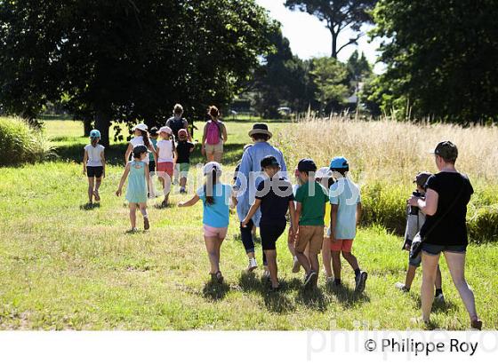 SORTIE SCOLAIRE, RESERVE NATURELLE DU DOMAINE DE CERTES ET GRAVEYRON, AUDENGE , BASSIN D' ARCACHON, GIRONDE. (33F33002.jpg)