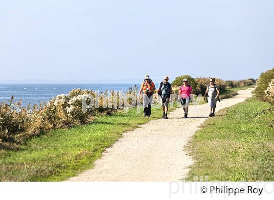 RANDONNEE PEDESTRE, RESERVE NATURELLE DU DOMAINE DE CERTES ET GRAVEYRON, AUDENGE , BASSIN D' ARCACHON, GIRONDE. (33F33012.jpg)