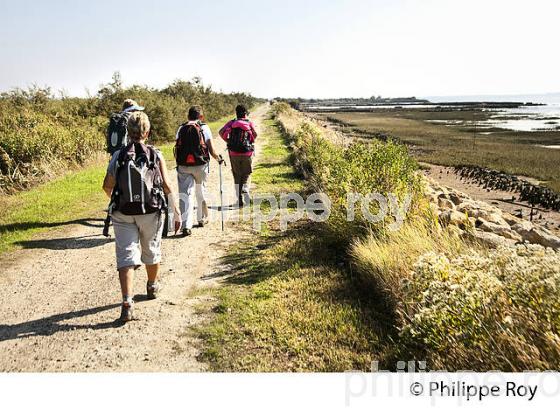 RANDONNEE PEDESTRE, RESERVE NATURELLE DU DOMAINE DE CERTES ET GRAVEYRON, AUDENGE , BASSIN D' ARCACHON, GIRONDE. (33F33019.jpg)