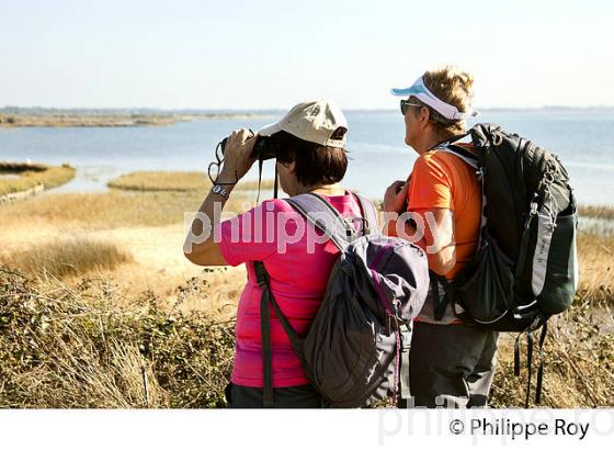 RANDONNEE PEDESTRE, RESERVE NATURELLE DU DOMAINE DE CERTES ET GRAVEYRON, AUDENGE , BASSIN D' ARCACHON, GIRONDE. (33F33027.jpg)