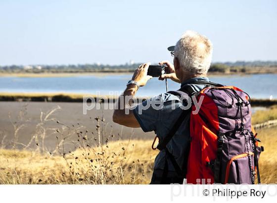 RANDONNEE PEDESTRE, RESERVE NATURELLE DU DOMAINE DE CERTES ET GRAVEYRON, AUDENGE , BASSIN D' ARCACHON, GIRONDE. (33F33028.jpg)