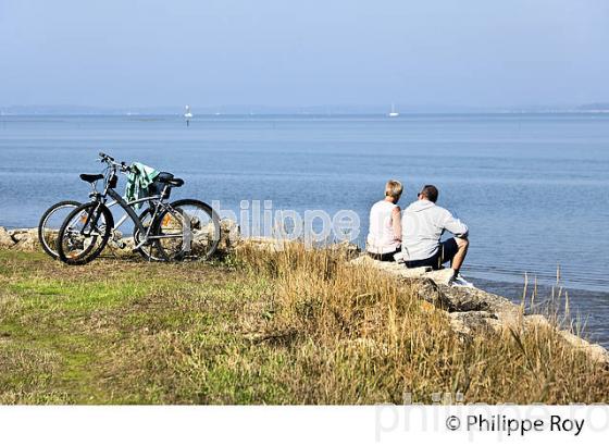 VELO, SENTIER DU LITTORAL   BAIE DE LANTON, COMMUNE DE  LANTON, BASSIN D' ARCACHON, GIRONDE. (33F33029.jpg)