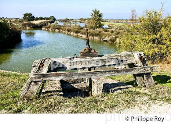 ECLUSE,  RESERVE NATURELLE, DOMAINE DE CERTES ET GRAVEYRON, AUDENGE , BASSIN D' ARCACHON, GIRONDE. (33F33103.jpg)