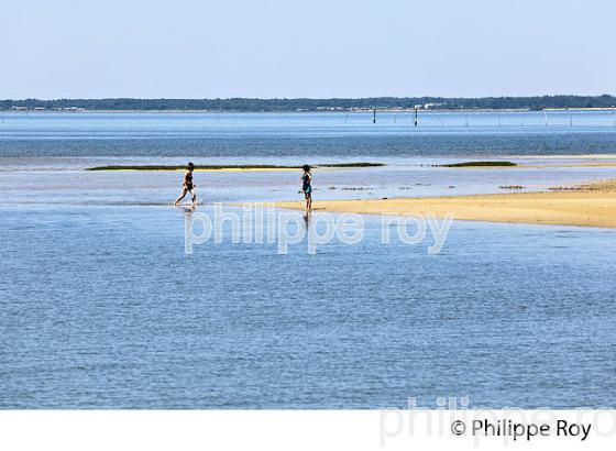 PLAGE DE SABLE  A GUJAN-MESTRAS, BASSIN D' ARCACHON, GIRONDE. (33F33238.jpg)