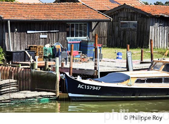 PORT OSTREICOLE DU CANAL-EST, OSTREICULTURE, GUJAN-MESTRAS, BASSIN D' ARCACHON, GIRONDE. (33F33310.jpg)