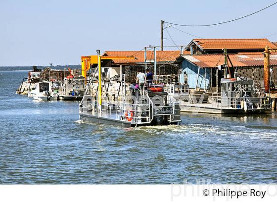 PORT DE LARROS, OSTREICULTURE, GUJAN-MESTRAS, BASSIN D' ARCACHON, GIRONDE. (33F33314.jpg)