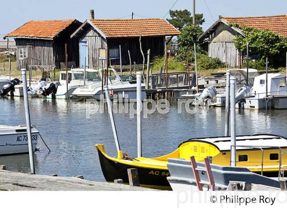 PINASSE, PORT DE LARROS, OSTREICULTURE, GUJAN-MESTRAS, BASSIN D' ARCACHON, GIRONDE. (33F33315.jpg)