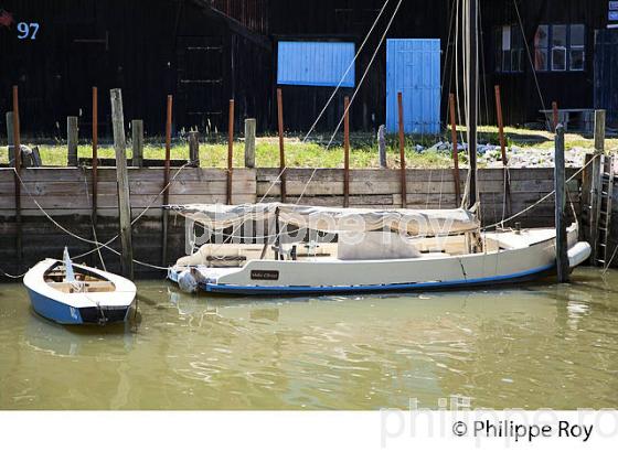 BAC A VOILE, PORT DU CANAL-EST, OSTREICULTURE, GUJAN-MESTRAS, BASSIN D' ARCACHON, GIRONDE. (33F33316.jpg)