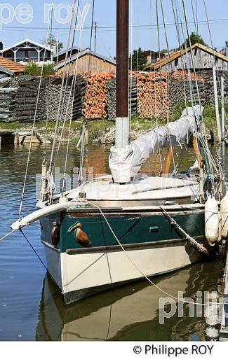 VIEUX GREEMENT, PORT DE LARROS, OSTREICULTURE, GUJAN-MESTRAS, BASSIN D' ARCACHON, GIRONDE. (33F33322.jpg)