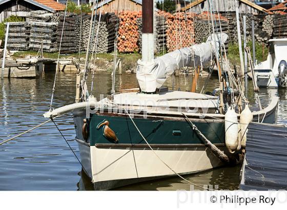 VIEUX GREEMENT, PORT DE LARROS, OSTREICULTURE, GUJAN-MESTRAS, BASSIN D' ARCACHON, GIRONDE. (33F33323.jpg)