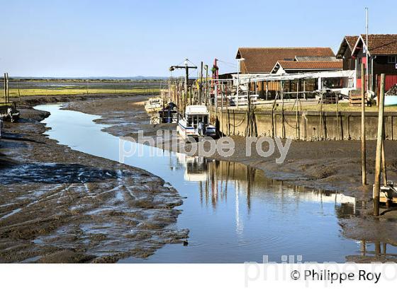 PORT OSTREICOLE DE CASSY, COMMUNE DE  LANTON, BASSIN D' ARCACHON, GIRONDE. (33F33332.jpg)