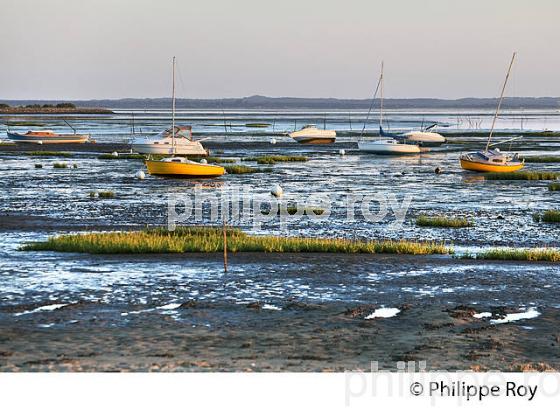 PLAGE  DE CASSY, MAREE BASSE, COMMUNE DE  LANTON, BASSIN D' ARCACHON, GIRONDE. (33F33333.jpg)