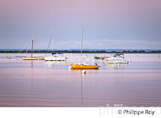 LEVER DU JOUR, PLAGE  DE CASSY, COMMUNE DE  LANTON, BASSIN D' ARCACHON, GIRONDE. (33F33337.jpg)