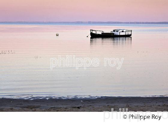 LEVER DU JOUR, PLAGE  DE CASSY, COMMUNE DE  LANTON, BASSIN D' ARCACHON, GIRONDE. (33F33339.jpg)