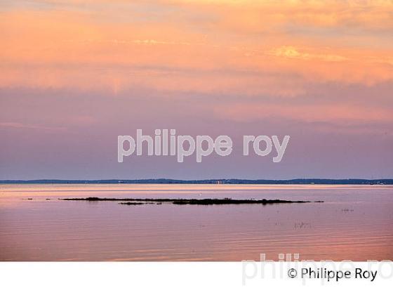 LEVER DU JOUR, PLAGE  DE CASSY, COMMUNE DE  LANTON, BASSIN D' ARCACHON, GIRONDE. (33F33406.jpg)