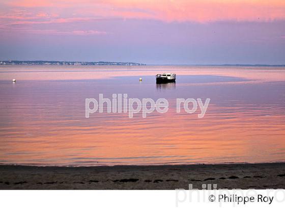 LEVER DU JOUR, PLAGE  DE CASSY, COMMUNE DE  LANTON, BASSIN D' ARCACHON, GIRONDE. (33F33407.jpg)