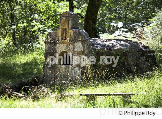 LA FONTAINE SAINT JEAN, VAL DE L' EYRE , LE TEICH , BASSIN D' ARCACHON, GIRONDE. (33F33430.jpg)