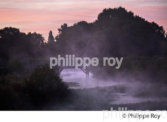 BRAS DE L' EYRE,  DELTA DE LA LEYRE, LE TEICH , BASSIN D' ARCACHON, GIRONDE. (33F33435.jpg)