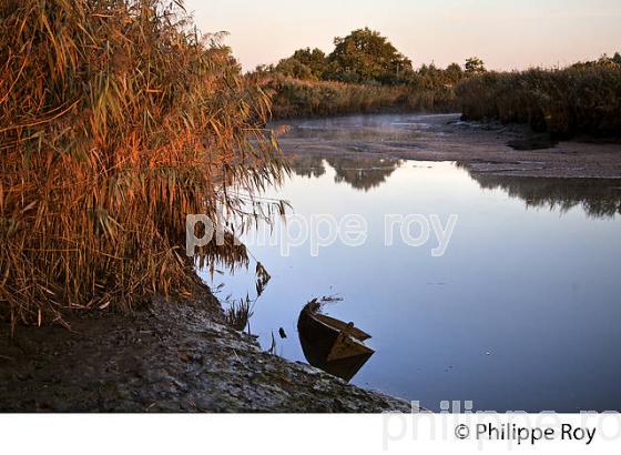 BRAS DE L' EYRE,  DELTA DE LA LEYRE, LE TEICH , BASSIN D' ARCACHON, GIRONDE. (33F33440.jpg)