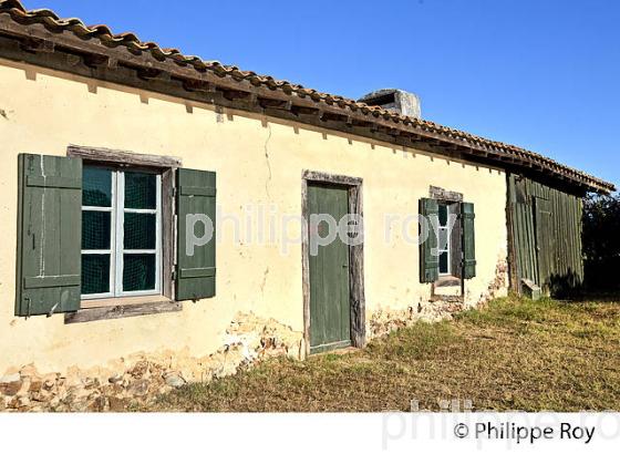 MAISON DE L' ECLUSIER, RESERVE ORNITHOLOGIQUE DU TEICH, , BASSIN D' ARCACHON, GIRONDE. (33F33510.jpg)