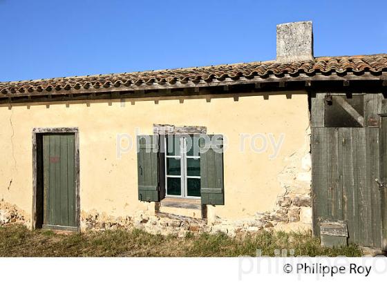 MAISON DE L' ECLUSIER, RESERVE ORNITHOLOGIQUE DU TEICH, , BASSIN D' ARCACHON, GIRONDE. (33F33511.jpg)
