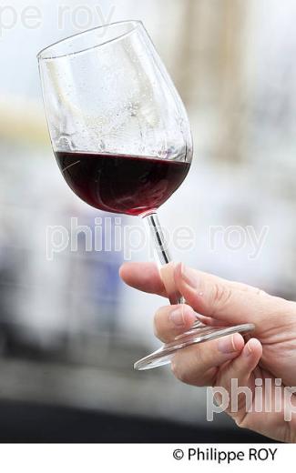DEGUSTATION  DE VIN , FETE DU VIN , BORDEAUX , GIRONDE. (33F33715.jpg)