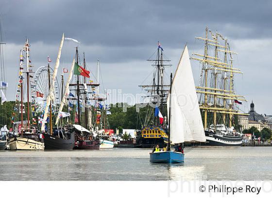 RASSEMBLEMENT  DE GRANDS VOILIERS DANS  LE PORT DE LA LUNE,  VILLE DE  BORDEAUX FETE LE VIN. (33F33826.jpg)